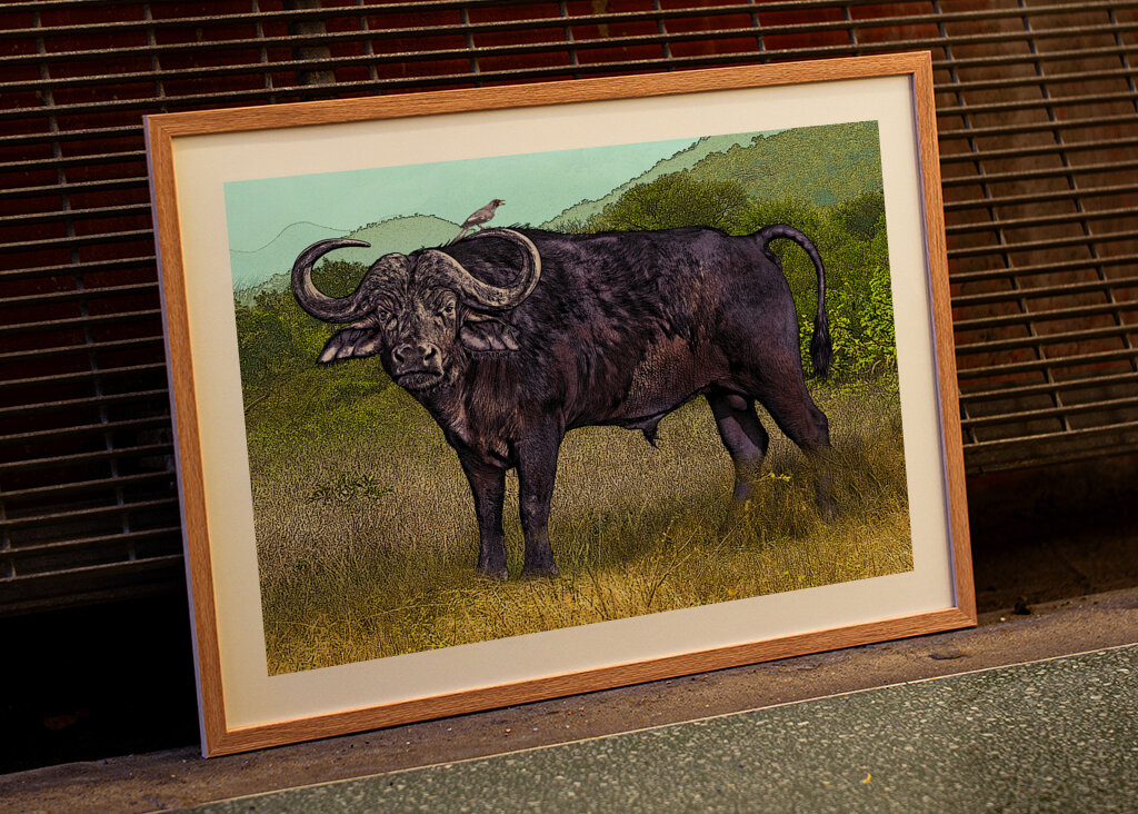 Buffalo in a Grassy Savanna Landscape