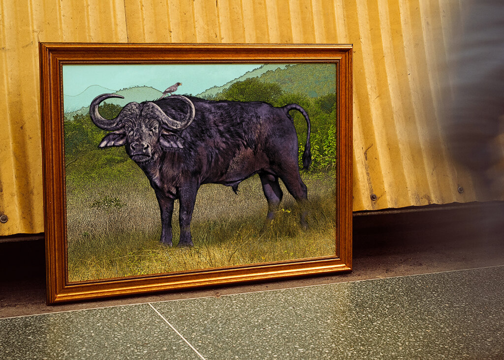 Buffalo in a Grassy Savanna Landscape