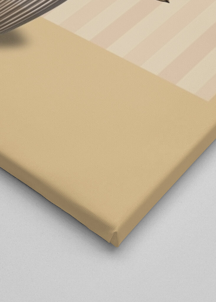 Pink Flower in a Striped Vase