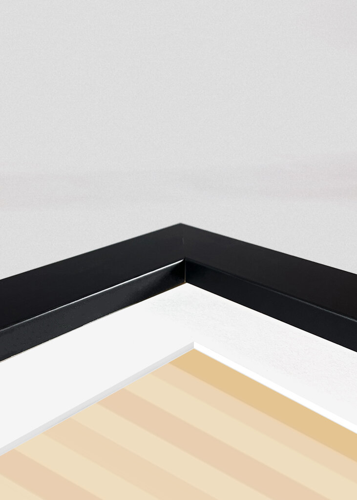 Pink Flower in a Striped Vase