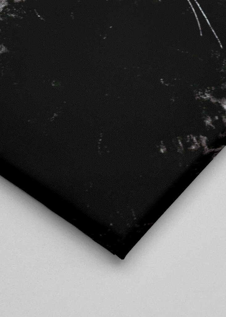 Förvånad katt: Bajsar du