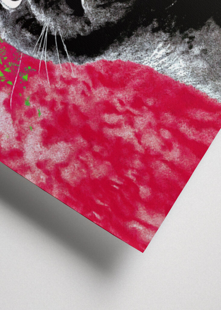 Förvånad katt: Bajsar du