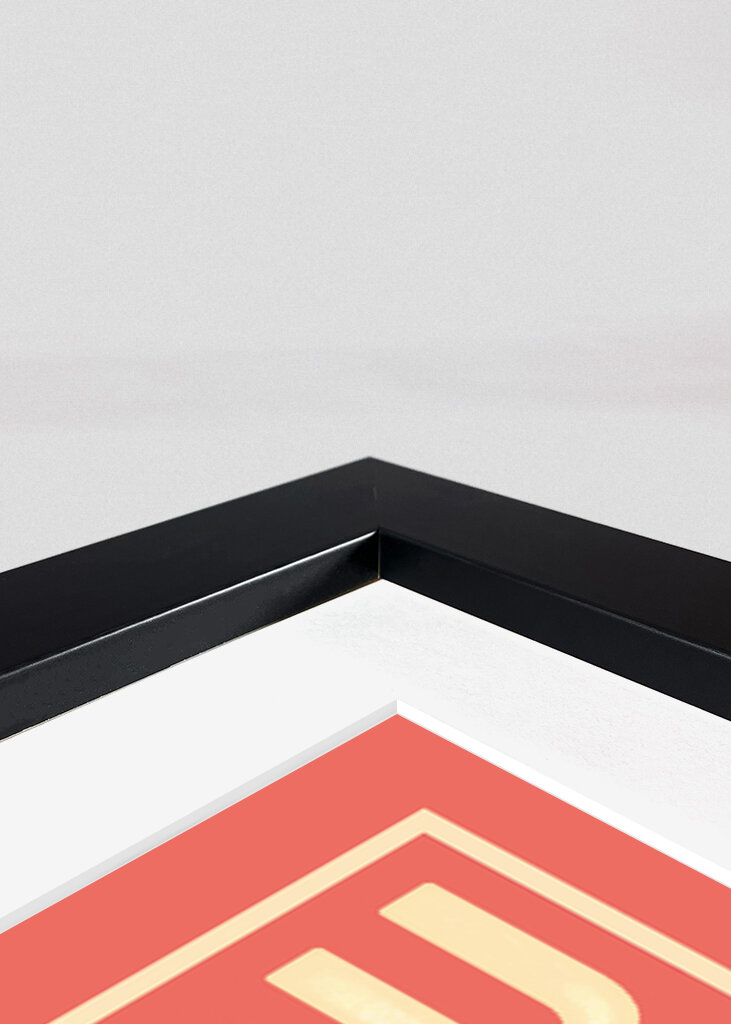 Zszokowane koty: robisz kupę?