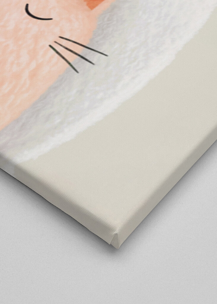 Dobranoc śpiące koty