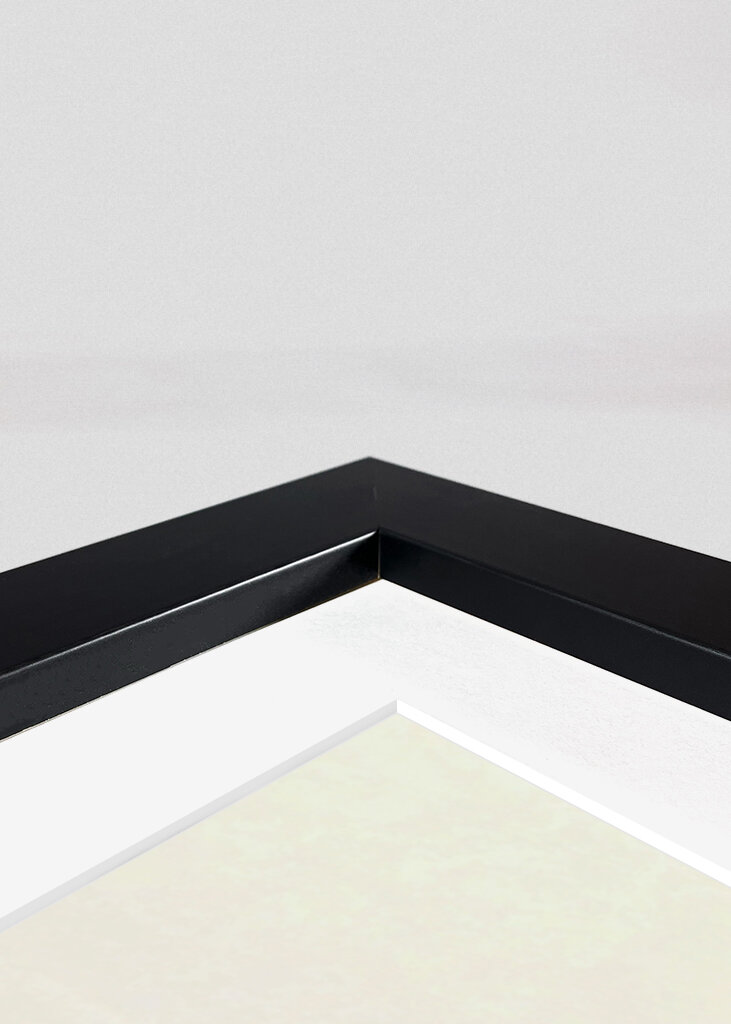 Dobranoc śpiące koty