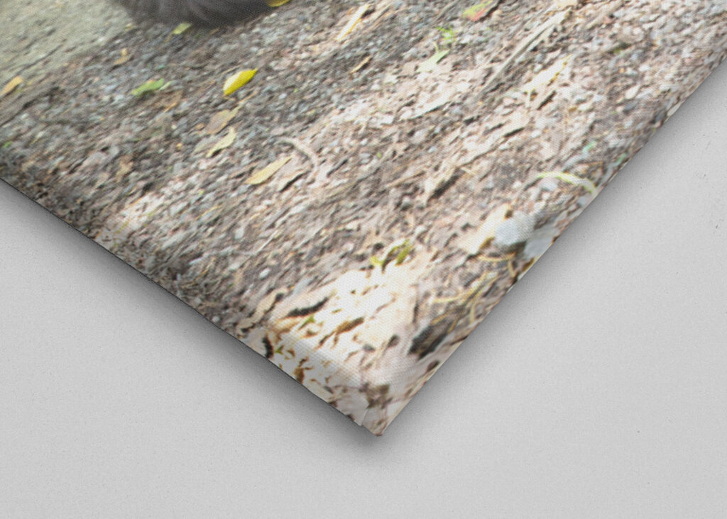 Schwarzer Deutscher Schäferhund - Graffiti