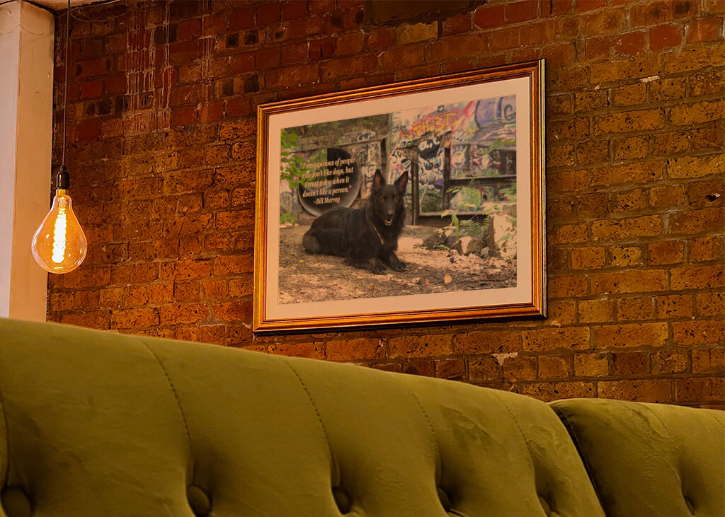 Schwarzer Deutscher Schäferhund - Graffiti