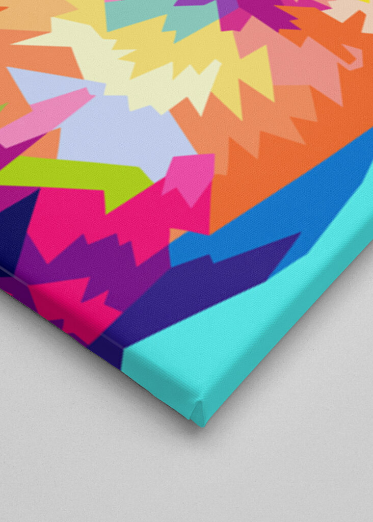 Kot na dzień dobry z motylem