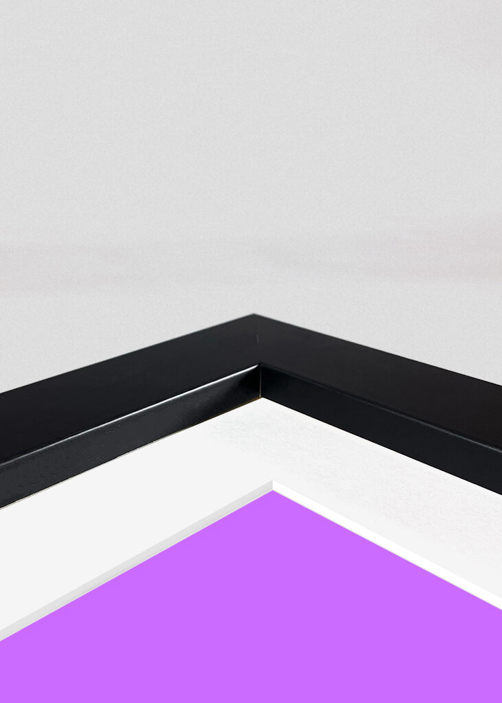 Kot na dzień dobry z motylem