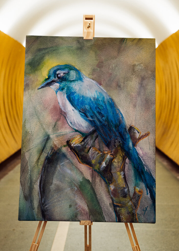 Blue Jay in the Morning Haze