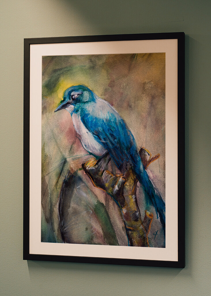 Blue Jay in the Morning Haze