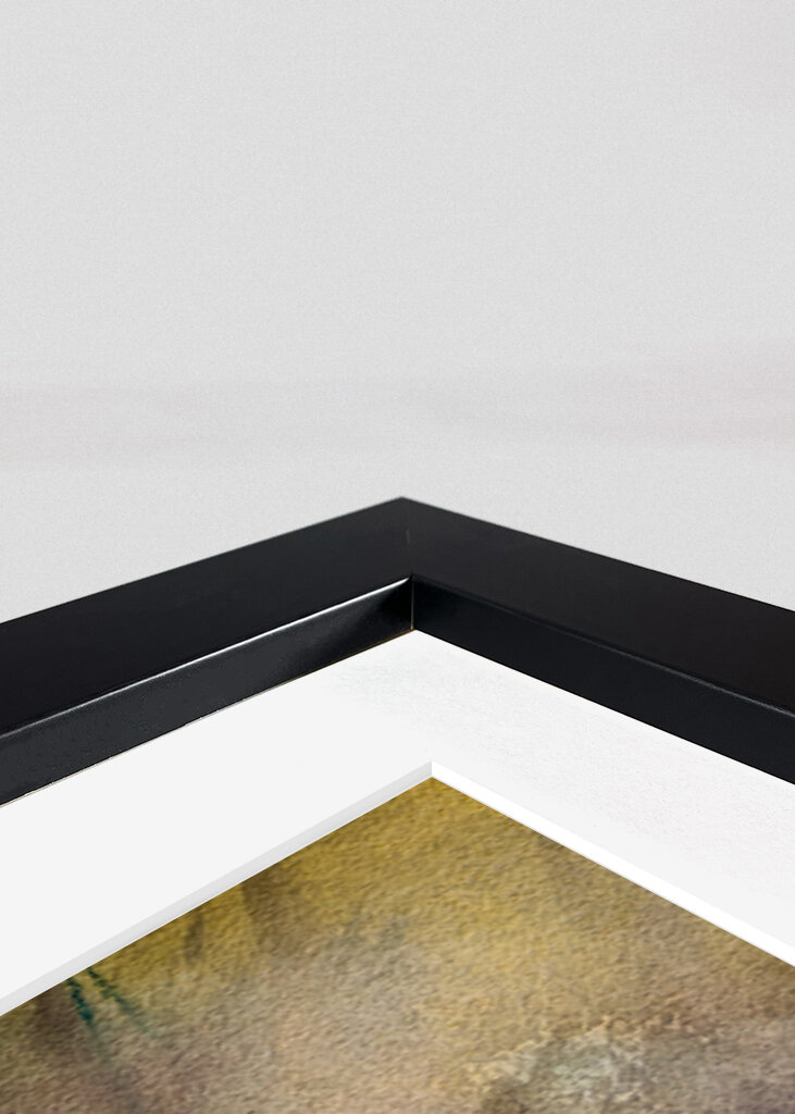 Blue Jay in the Morning Haze