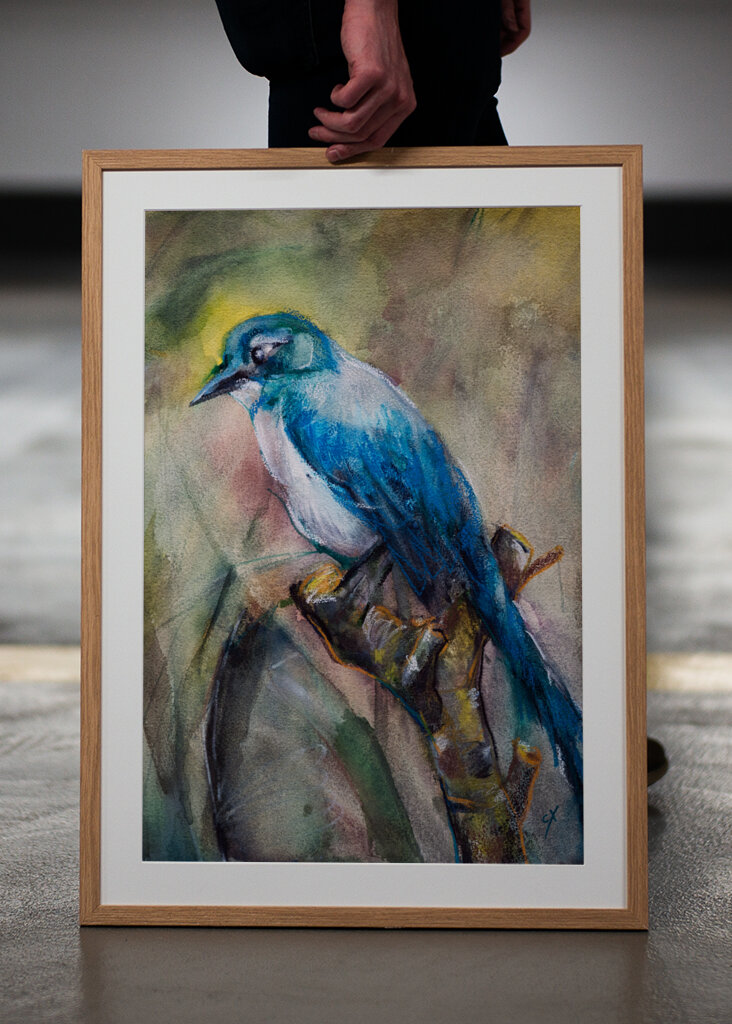 Blue Jay in the Morning Haze