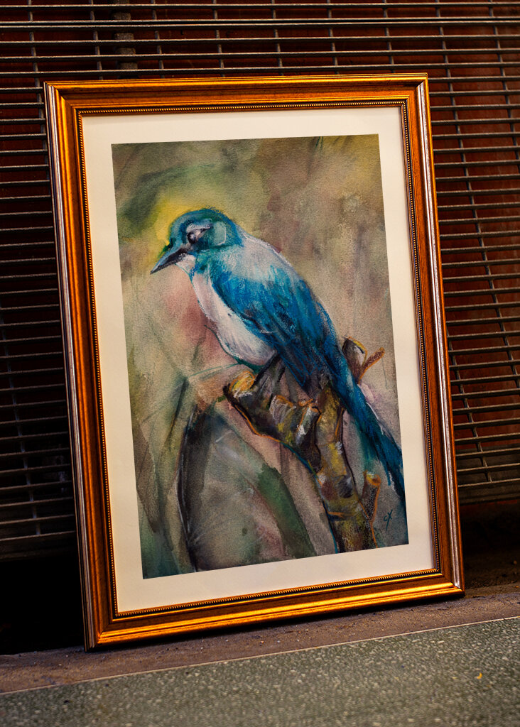 Blue Jay in the Morning Haze