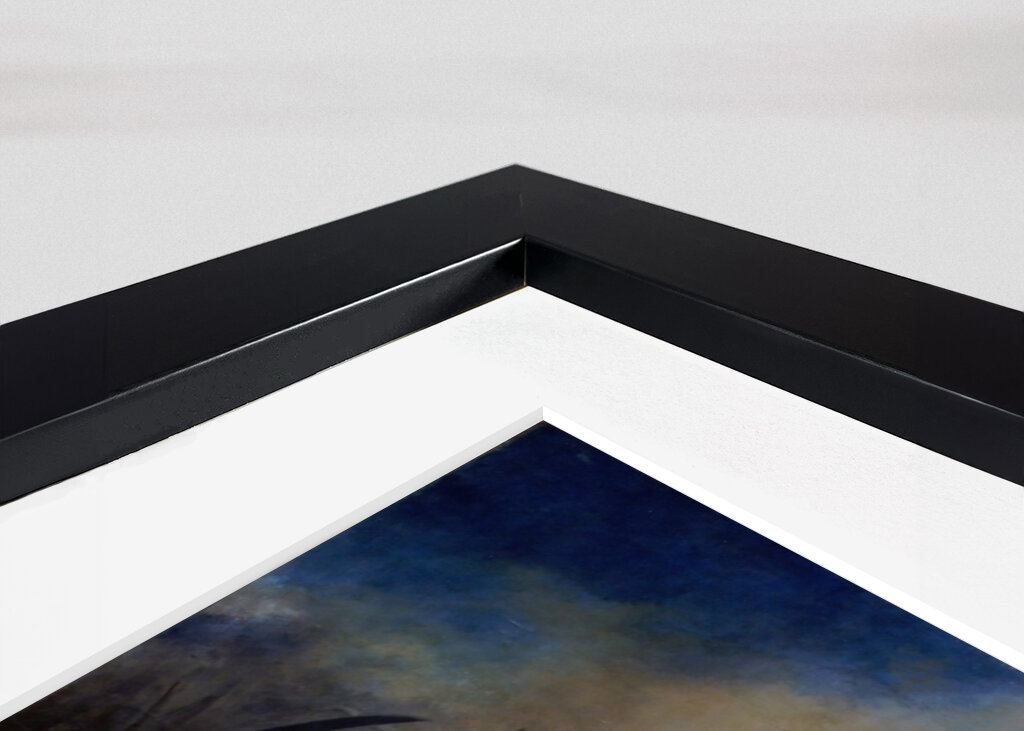 "SHIT" Delacroix's Liberty