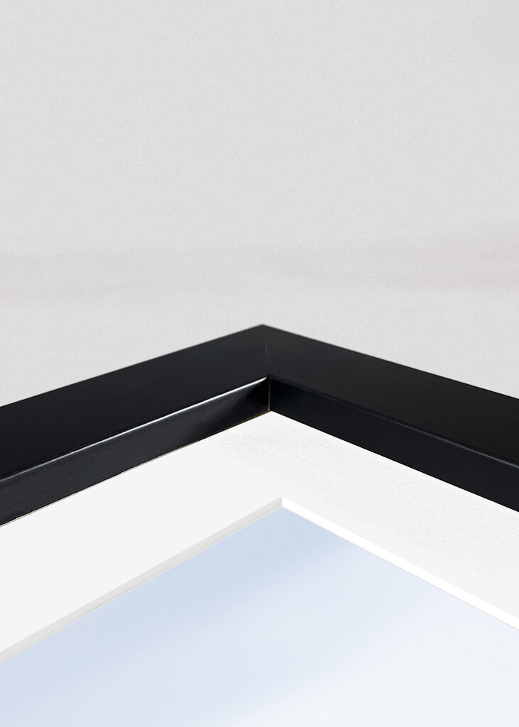 Lone Ram of the North