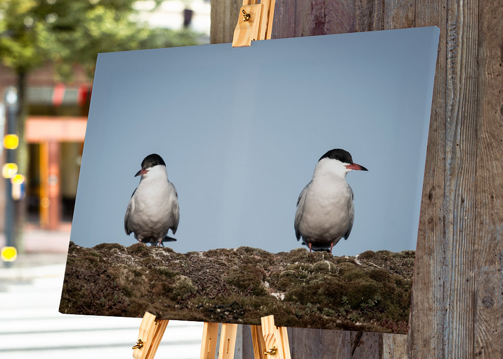Ich möchte nicht mit dir reden.