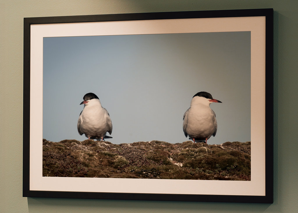 Ich möchte nicht mit dir reden.