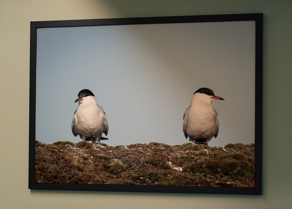 Ich möchte nicht mit dir reden.