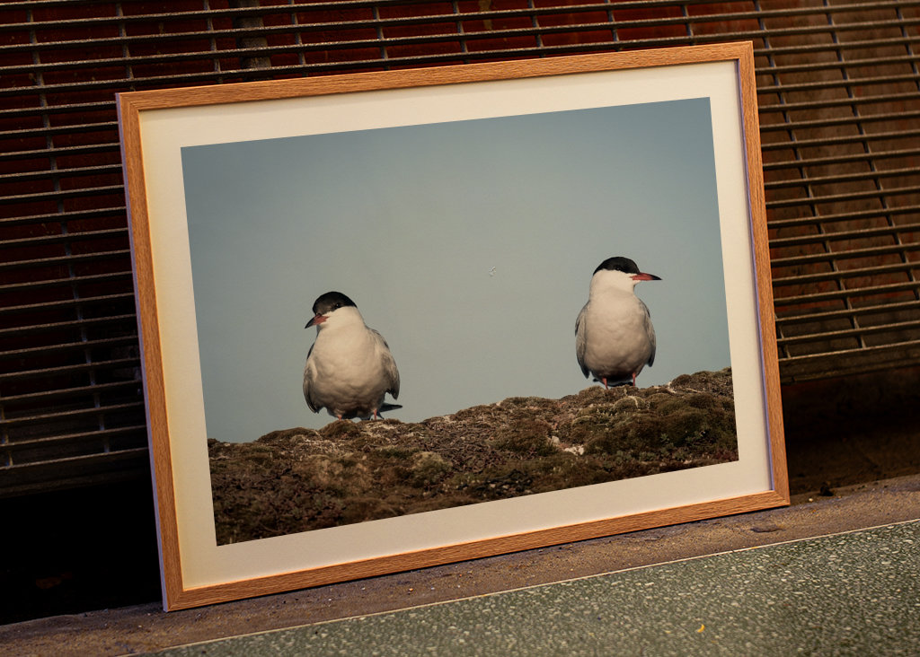 Ich möchte nicht mit dir reden.