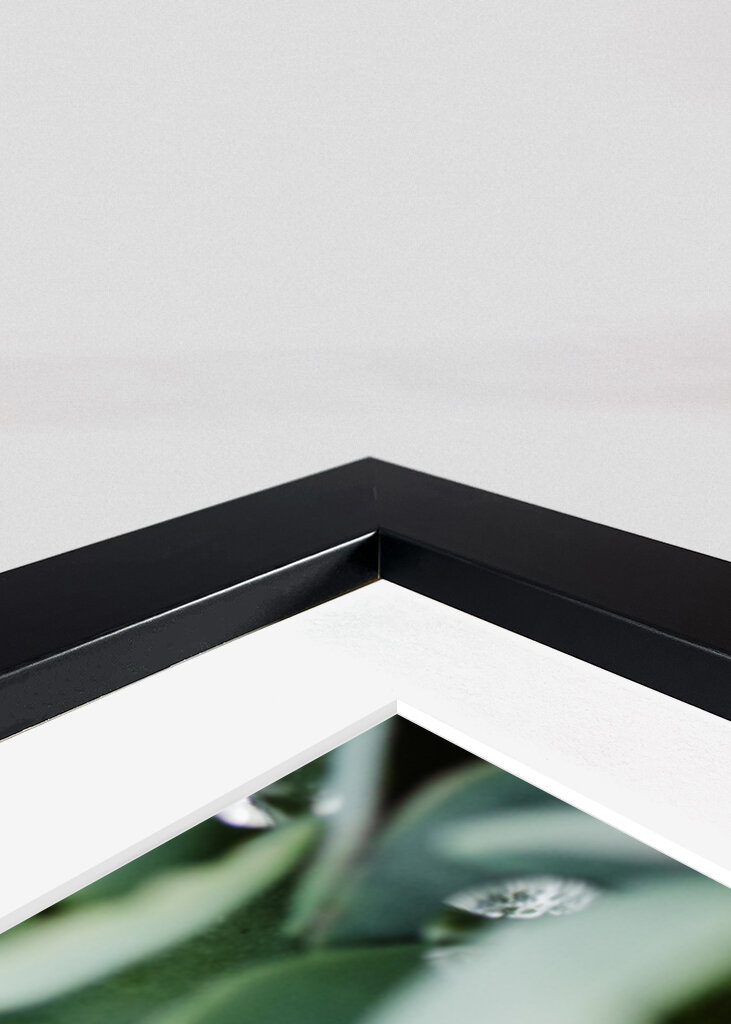 Droppeds of succulents