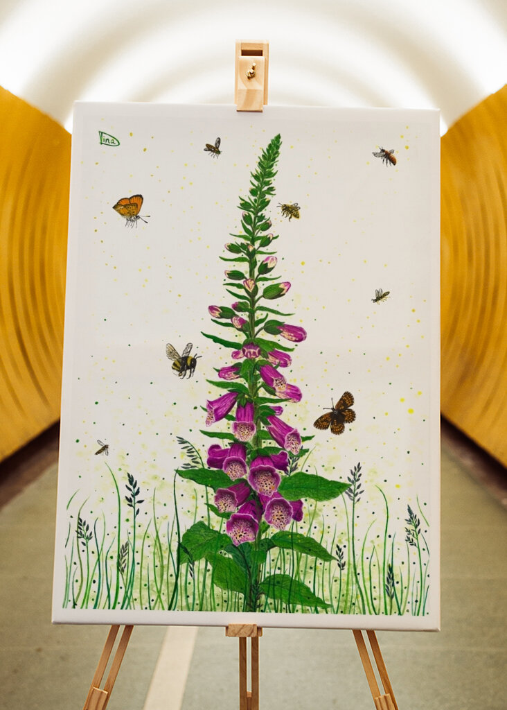 Digitalis - Queens of Flowers