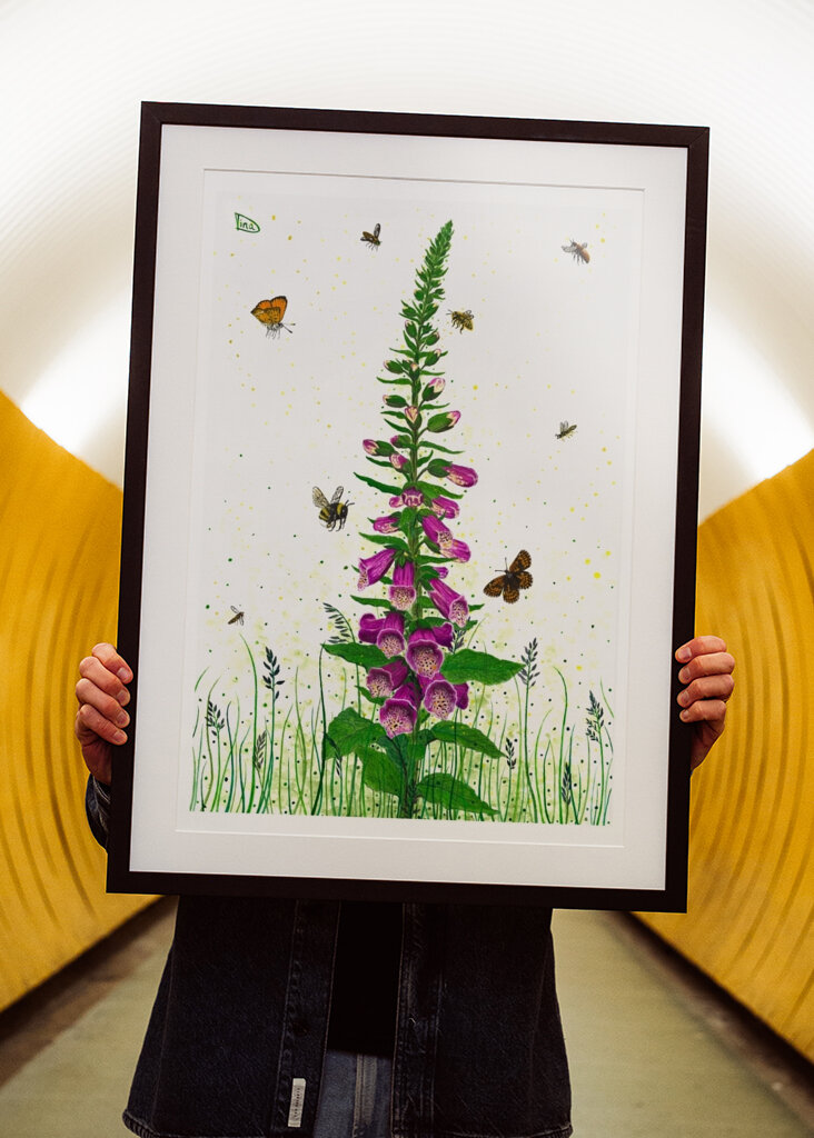 Digitalis - Queens of Flowers