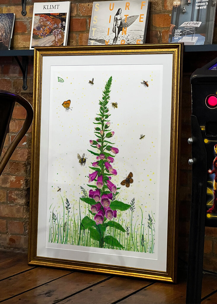 Digitalis - Queens of Flowers