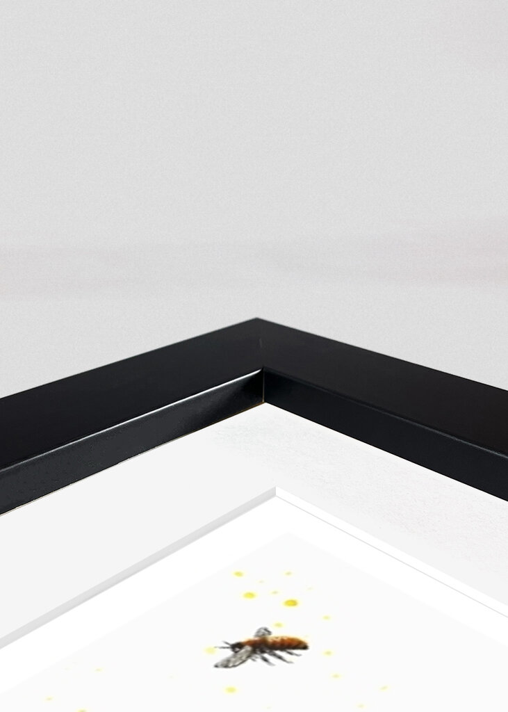 Digitalis - Queens of Flowers