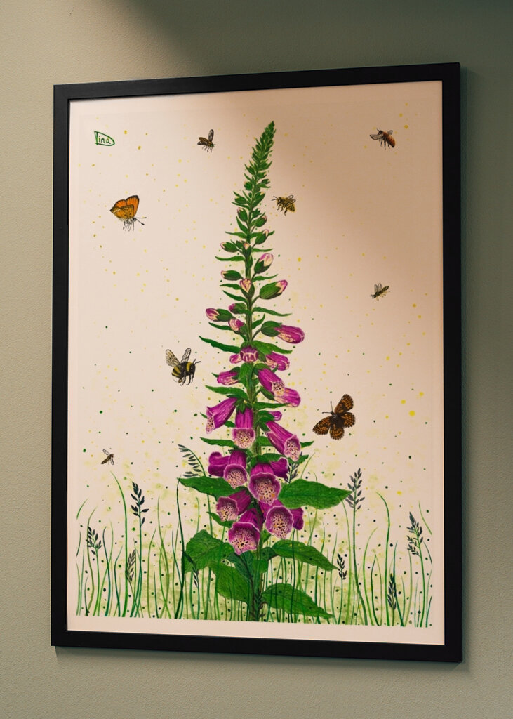 Digitalis - Queens of Flowers