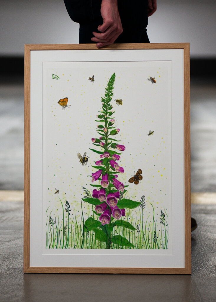 Digitalis - Queens of Flowers