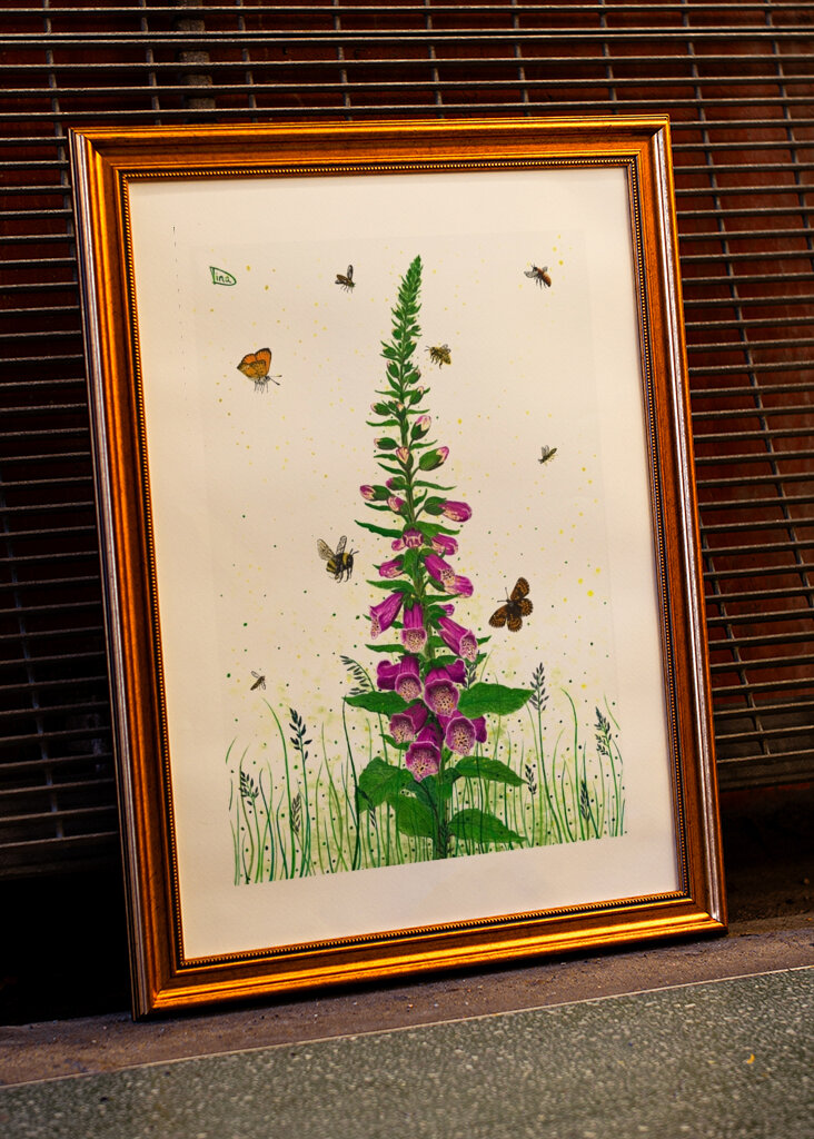 Digitalis - Queens of Flowers