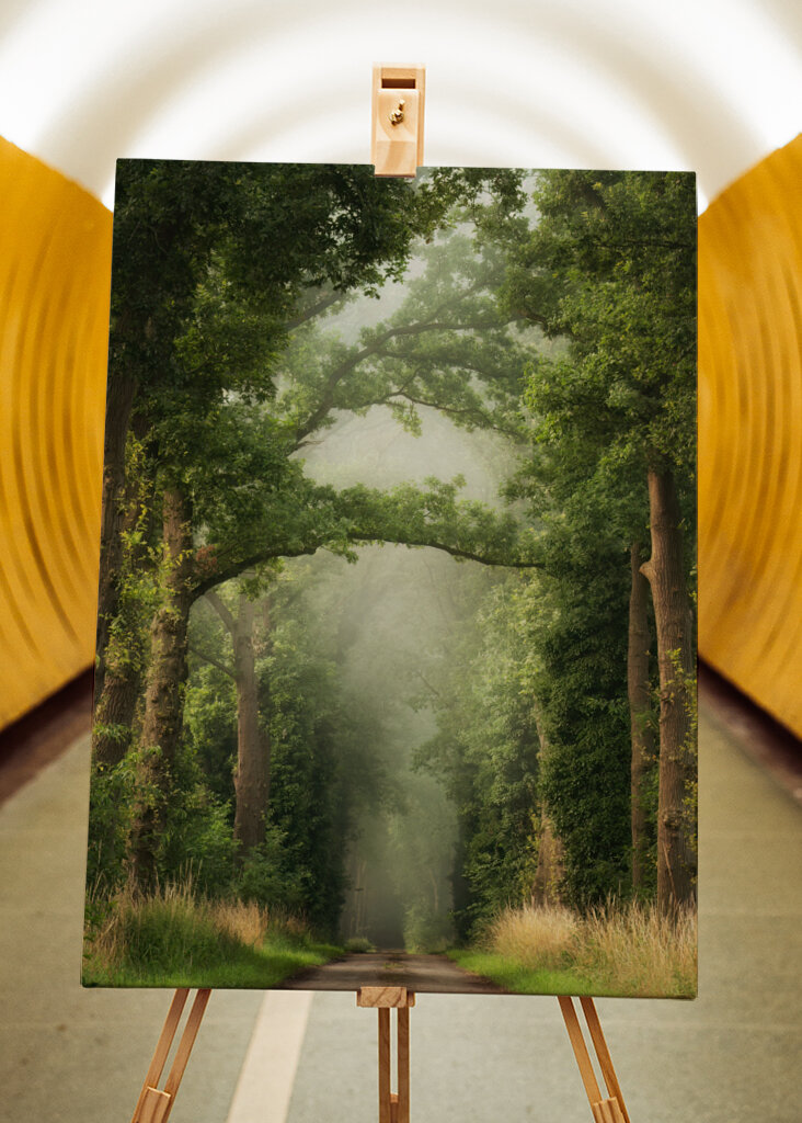 Misty summer forest road