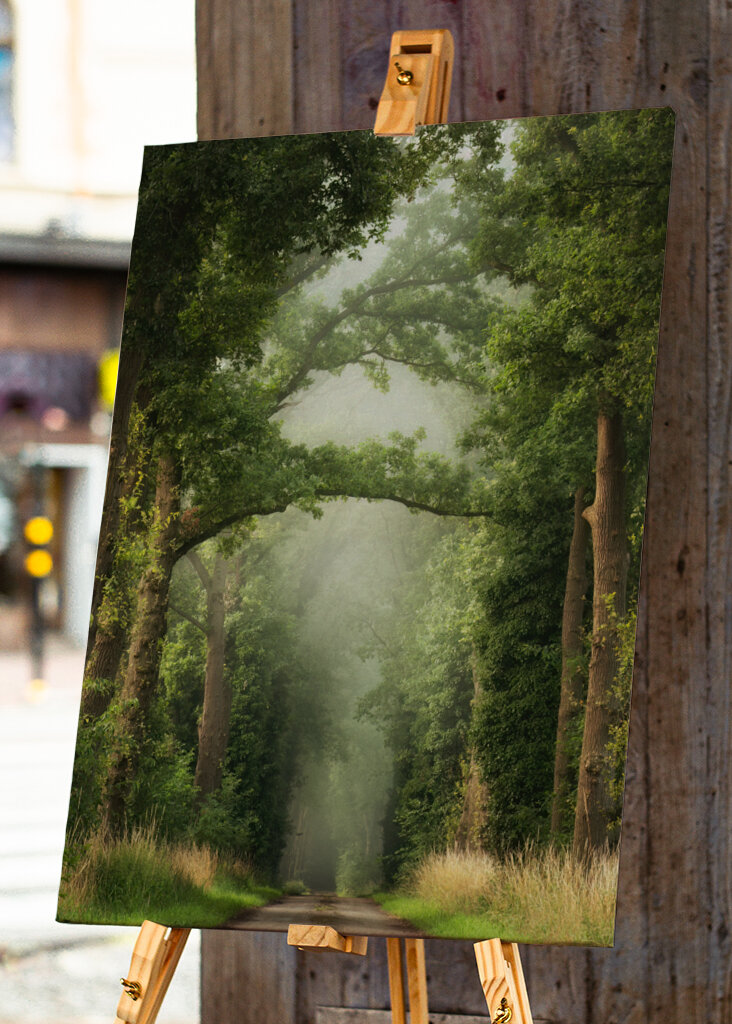 Misty summer forest road