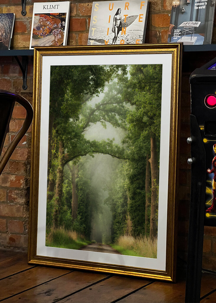 Misty summer forest road