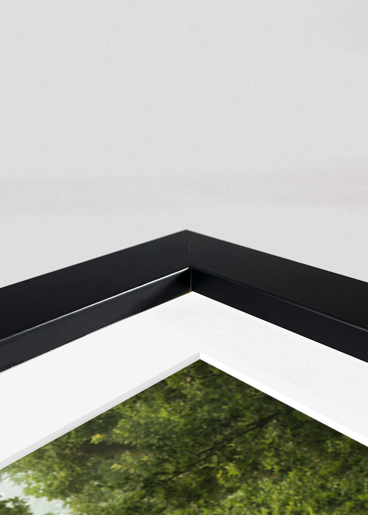 Misty summer forest road