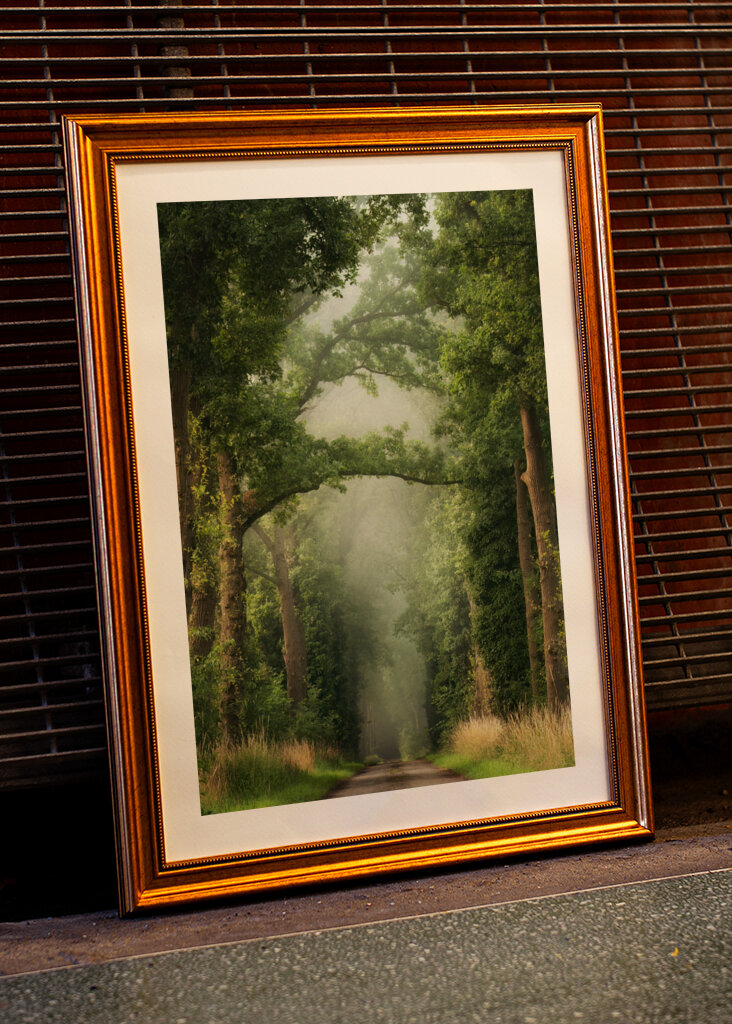 Misty summer forest road