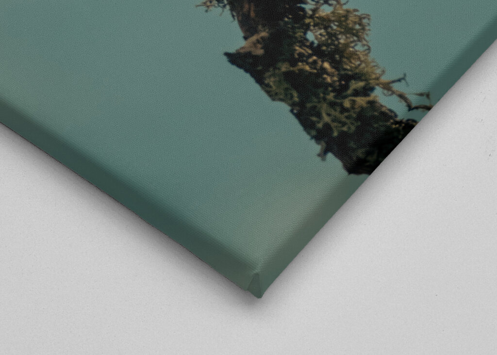 Kleiner Vogel auf Ast