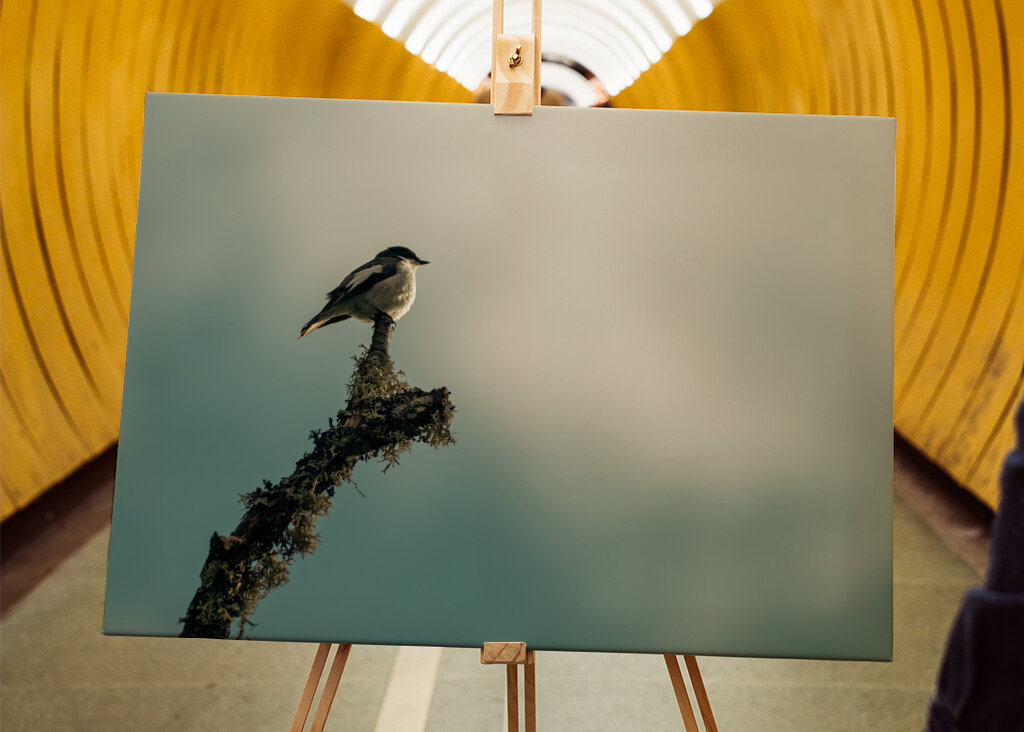 Kleiner Vogel auf Ast