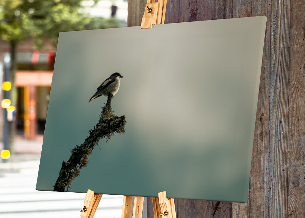 Kleiner Vogel auf Ast