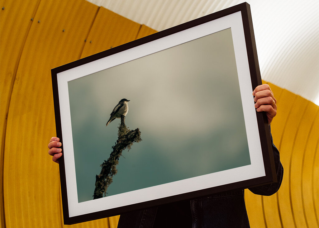 Kleiner Vogel auf Ast