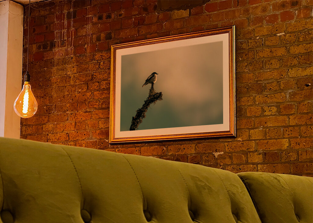 Kleiner Vogel auf Ast