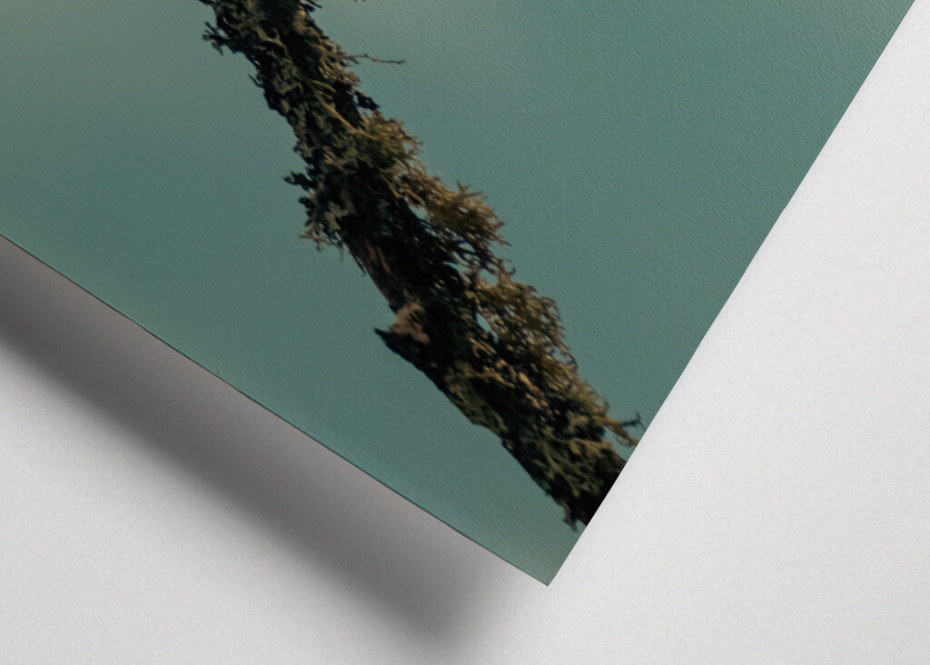 Kleiner Vogel auf Ast