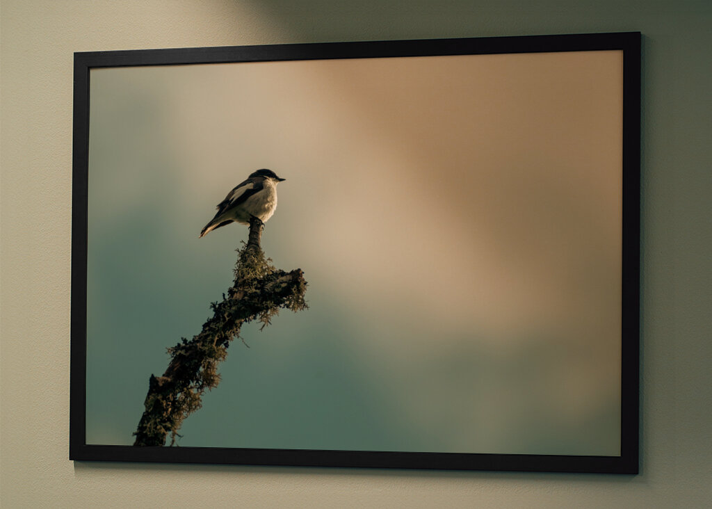 Kleiner Vogel auf Ast