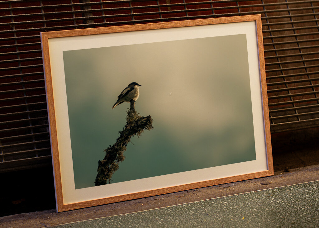 Kleiner Vogel auf Ast