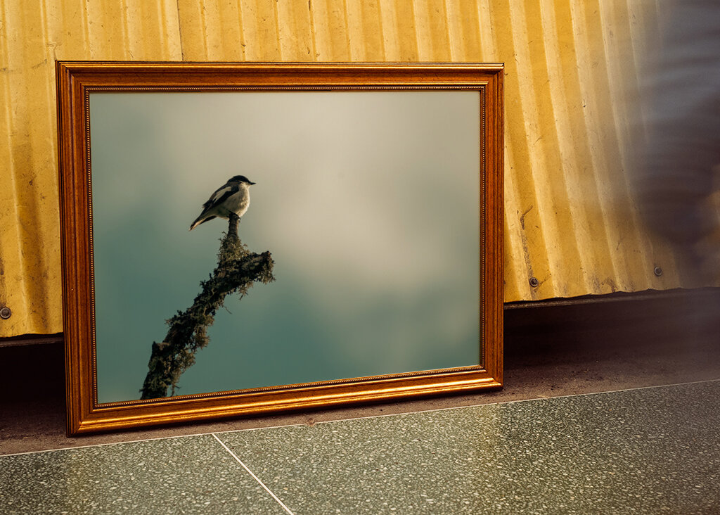 Kleiner Vogel auf Ast