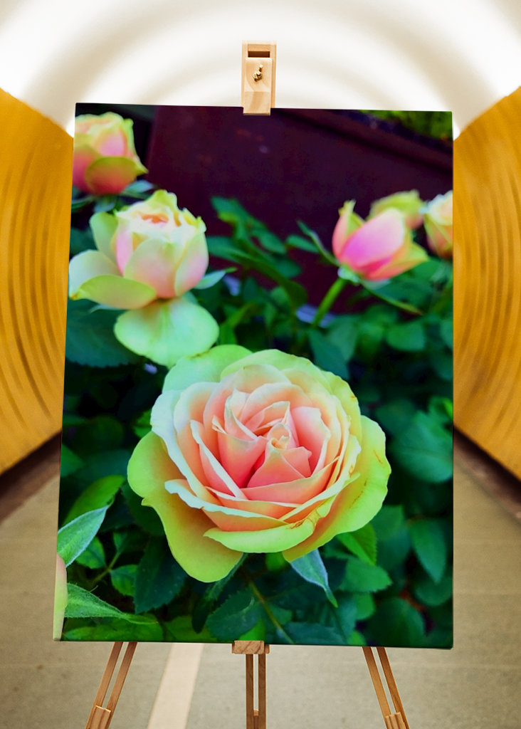 schön und kostenlos 