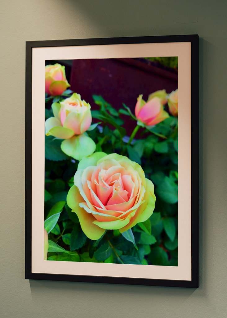 schön und kostenlos 