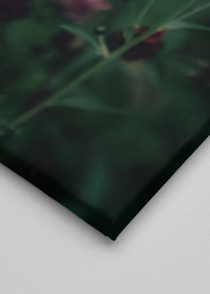 The butterfly on the flower 