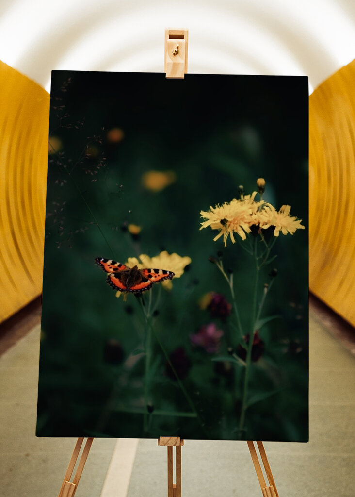 The butterfly on the flower 